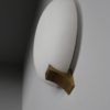 A Fine French Art Deco Glass and Bronze Sconce by Perzel