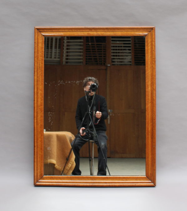 Fine French 19th Century Wood Framed Mirror - Image 10