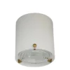 Fine French 1950s Glass and Brass Cylindrical Flush Mount by Perzel