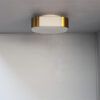 Fine French Art Deco Glass and Bronze Ceiling or Wall Light by Perzel - Image 5