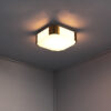 Fine French Art Deco Glass and Bronze Ceiling or Wall Light by Perzel - Image 4