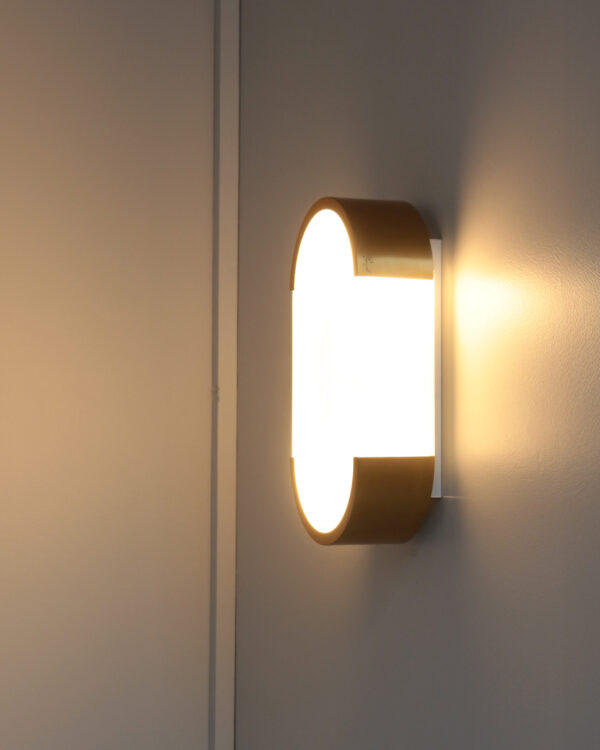 Fine French Art Deco Bronze and Glass Ceiling or Wall Light by Perzel - Image 11