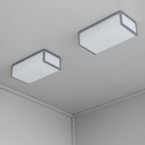 Pair of Small Fine 1960s Rectangular Flush Mounts Ceiling Lights by Atelier Perzel